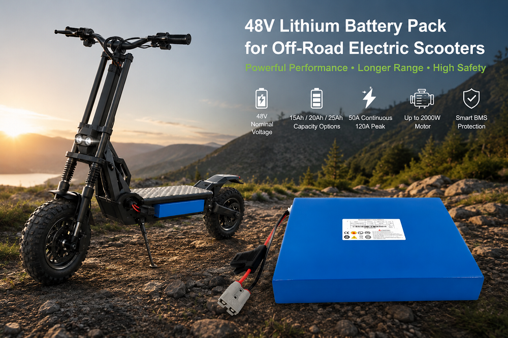 Aktueller Firmenfall über 48V Lithium Battery Pack for 2000W Off-Road Electric Scooters