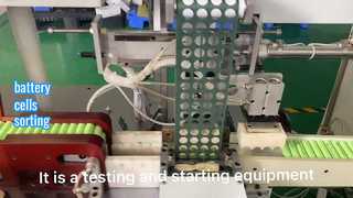 Sortierung der Batteriezellen