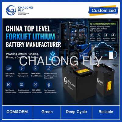 Custom 51.2V LiFePO4 Forklift Battery 304Ah 412Ah 560Ah with Smart BMS
