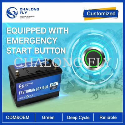 OEM 12V Sodium-Ion Starter Battery Series 60Ah 80Ah 100Ah for Automotive Replacement