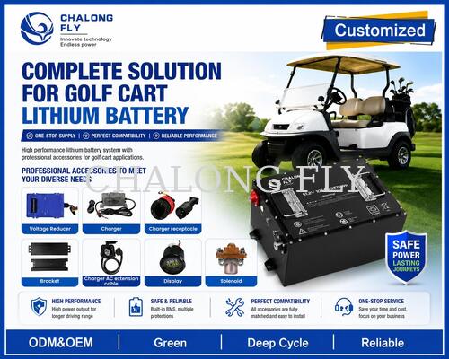 OEM ODM LiFePO4 Golf Cart Battery with Custom Voltage Custom BMS and CAN Communication