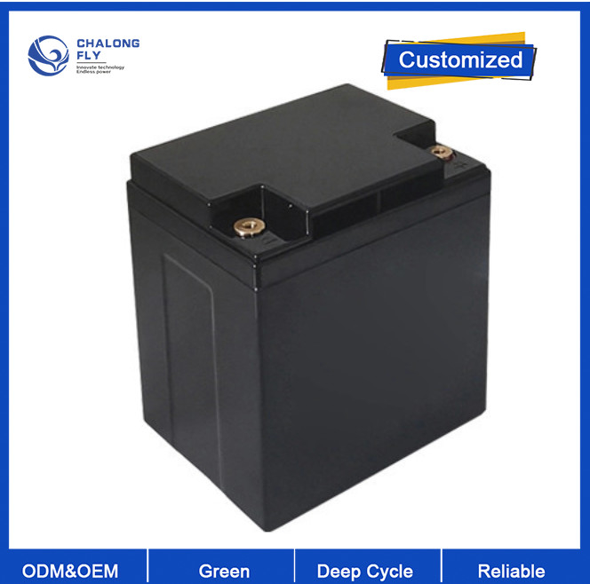 OEM ODM LiFePO4 Lithium Battery ​12V 30Ah Solar Battery Storage System 384Wh