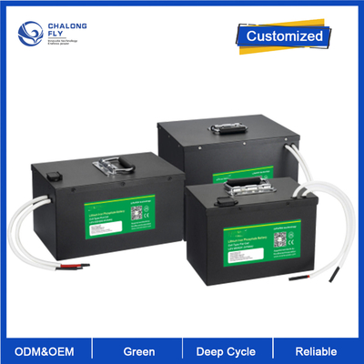 OEM ODM LiFePO4 Lithiumbatteriesysteme AGV-Automatisierte Fahrzeuge System 24v 80v