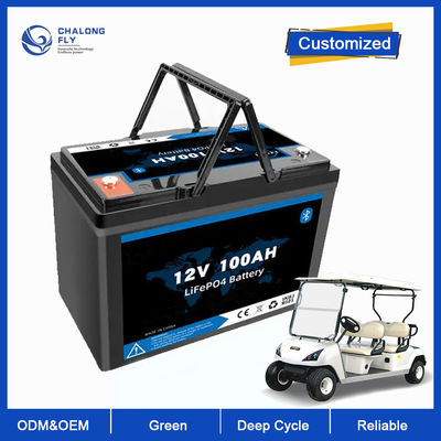 LiFePo4 Zyklus-Batterien Soem-ODM-Lithium-Eisen-Phosphat der Lithium-Batterie-12V 100AH 200AH tiefes für Solarenergie-System