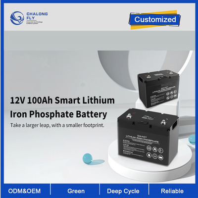 Lithium-Batterie 12V 100Ah Soem-ODM LiFePO4 Lithium-Batterie-intelligenter tiefer Zyklus fertigte Batterielithium-batterie-Sätze besonders an