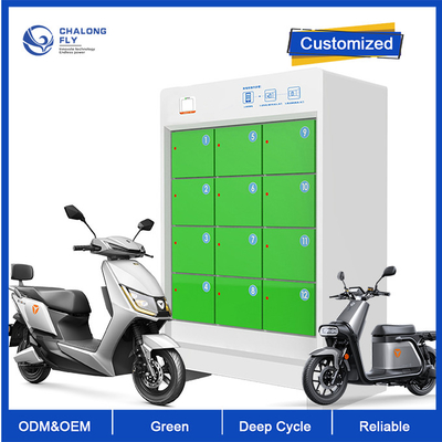Kammer-Batterie Soem-ODM LiFePO4 die Lithium-Batterie-5, die Station austauscht, fertigte besonders an