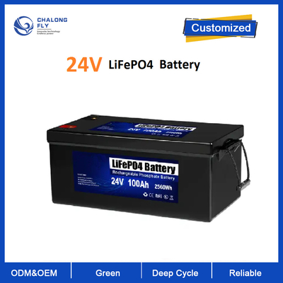 Lithium-Batterie Li-Ions Lifepo4 LiFePO4 24V 100AH mit BMS für Solarenergie-Motorrad-Boot RV-Camper