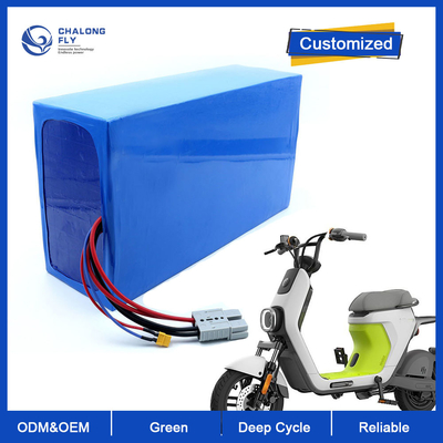 LiFePO4 Lithiumbatterie für E-Rollstuhl/E-Motorrad
