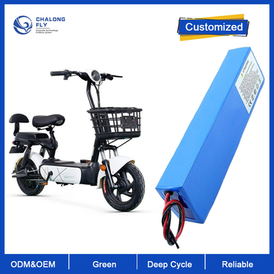 LiFePO4 Lithiumbatterie OEM 24V 36V 48V 60V 30AH Li-Ionen-Batterie 40AH 60AH Für E-Rollstuhl/E-Motorrad/E-Bike/E-Scooter