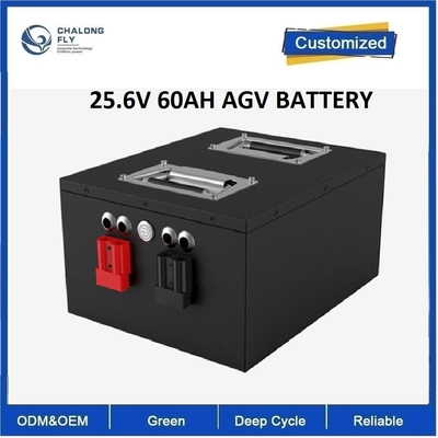 CLF Elektro-Forklift AGV Träger LiFepo4 EV Lithiumbatteriepacks OEM ODM 24V 48V 60Ah RS485 Kommunikation