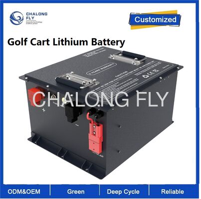 Elektrische Golfwagen Lithium Batterien 48V 72V 96V 50Ah 100Ah 105Ah 150Ah Li-Ion Lithium Batterie LifePO4 Elektro-Dreirad Motorrad Batteriepack