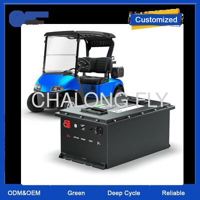 48V 100Ah Golf Cart Lithium Batterie mit Bluetooth und 4000 Zyklen LiFePO4 Batterie für Elektro-Golfwagen