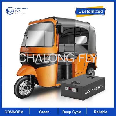 Hochleistungs-Lithium-Ionen LiFePO4-Batterie 48V25AH 50AH 75AH 100AH Elektromotorsteuergerät für Elektrofahrzeuge 2000W 3000W 5000W EV-Batterie