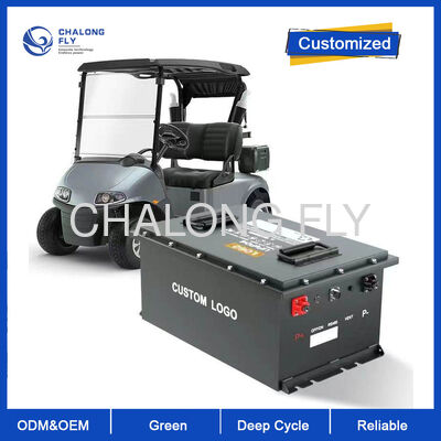 200V 300Ah LiFePO4 Gabelstaplerbatterie