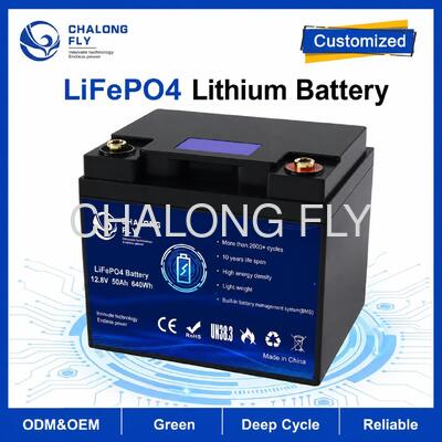 12.8V 50Ah LiFePO4-Batteriepack mit eingebauten BMS für Wohnmobil und Hilfskraft