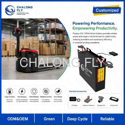 Custom 51.2V LiFePO4 Forklift Battery 304Ah 412Ah 560Ah with Smart BMS