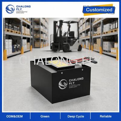 51.2V 608Ah LiFePO4 Gabelstaplerbatterie mit 4G-Überwachung und SOC-Display