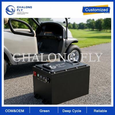 36V & 48V 105Ah LiFePO4 Golfcart-Batterie mit Smart BMS für Flottenfahrzeuge