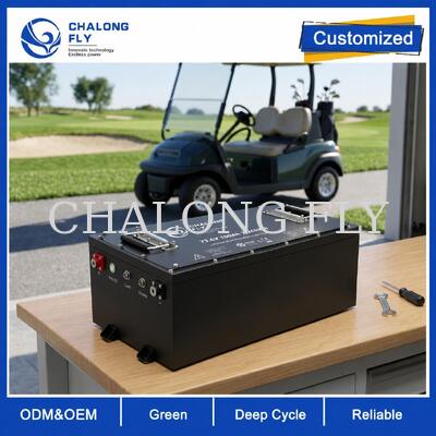 OEM ODM LiFePO4 Golf Cart Batterie mit kundenspezifischer Spannung, kundenspezifischem BMS und CAN-Kommunikation