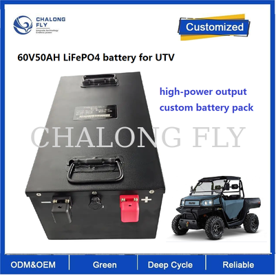 60V 50Ah LiFePO4-Akku für ATV & UTV | 3,04 kWh Lithiumbatterie