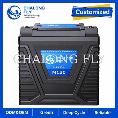 12.8V 10Ah LiFePO4 Motorradstarter Batterie 600A für 15 ≈ 30Ah Blei-Säure-Ersatz