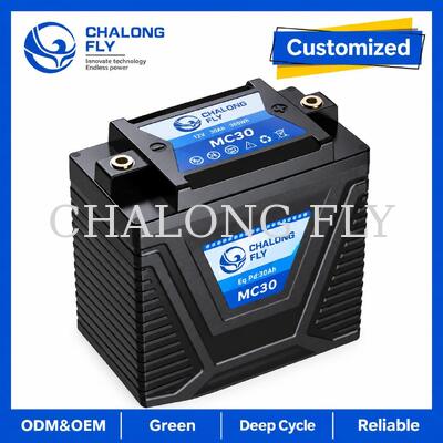 12.8V 5Ah LiFePO4 Motorrad Starter Batterie 300A für 8 ¢ 14Ah Blei-Säure Ersatz