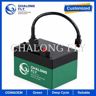12.8V 18Ah 24Ah LiFePO4 Golf Trolley Batterie mit T-Bar-Anschluss