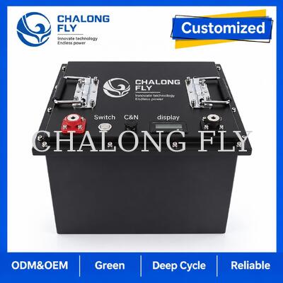 OEM kundenspezifische LiFePO4-Batterie mit intelligentem BMS und Metallgehäuse für DC-Scherenhebebühnen und Arbeitsbühnen