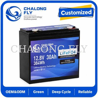 12.8V 30Ah LiFePO4 Deep Cycle Battery mit 384Wh Energie und Smart BMS für 12V Systeme