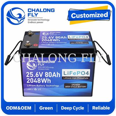 25.6V 70Ah LiFePO4-Batterie mit Bluetooth-Ferndiagnostik und 1.792kWh für Mobilitätsrollen und Rollstühle