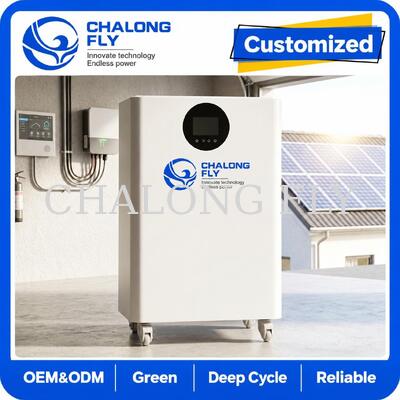 16kWh LiFePO4 All-in-One Solarenergie-Speichersystem mit 12kW Hybrid-Wechselrichter für private Energiespeichersysteme